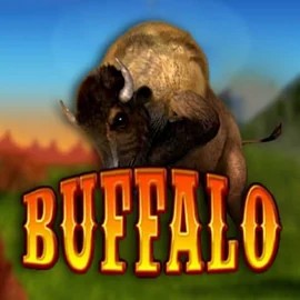 Buffalo Bingo logo – Bingo by MGA Games at Kitty Bingo