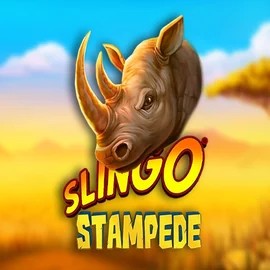 Slingo Stampede slot visual from Slingo available on kittybingocasino.com